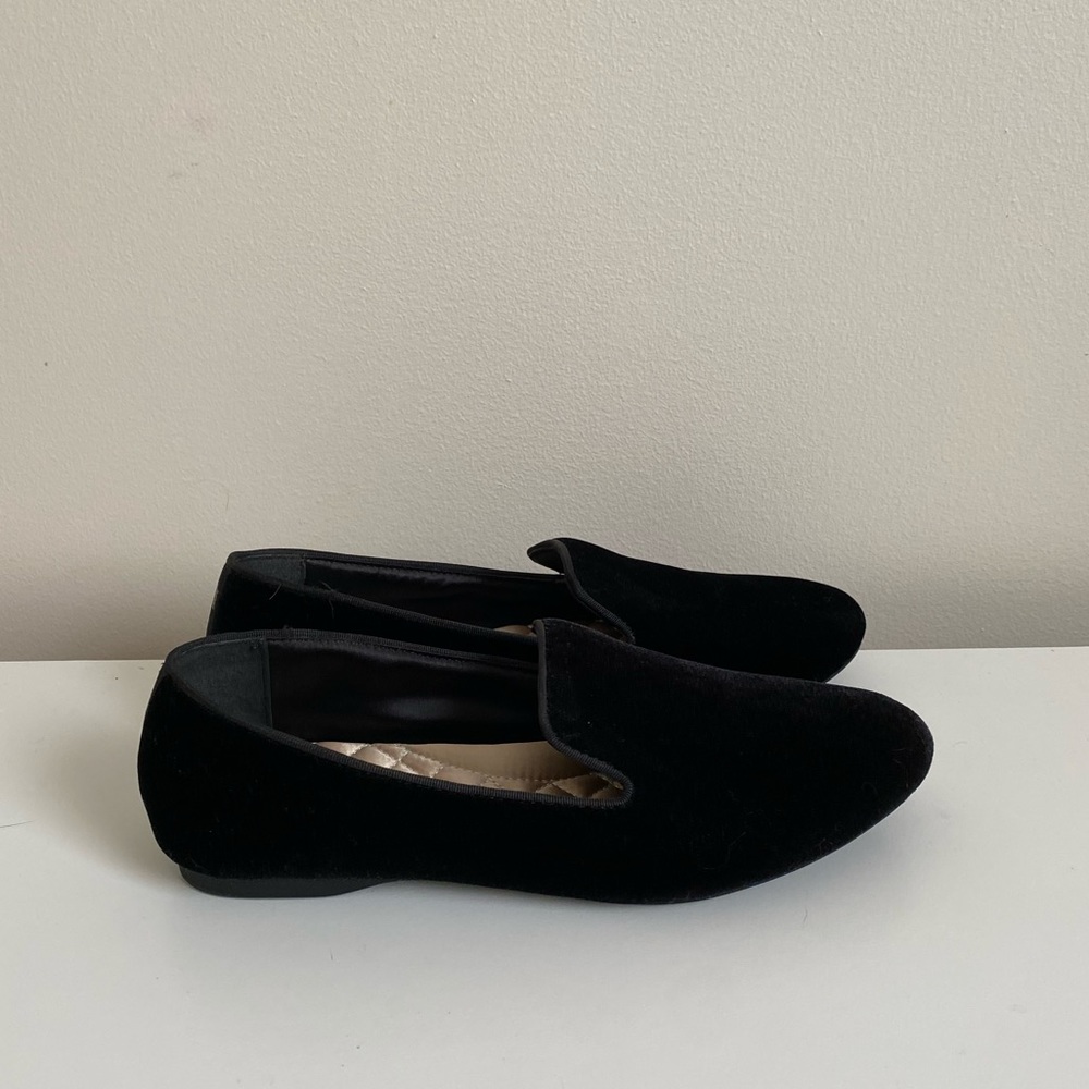 Birdies Black Velvet Starling